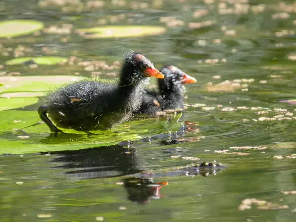 Counselling space in Helensvale