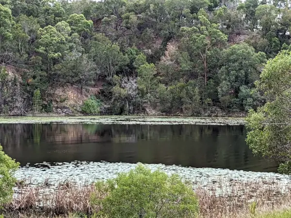 Counselling space in Logan