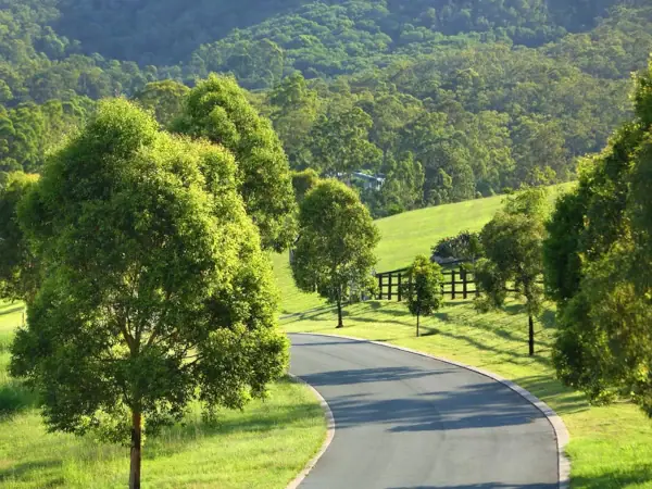 Counselling space in Ormeau