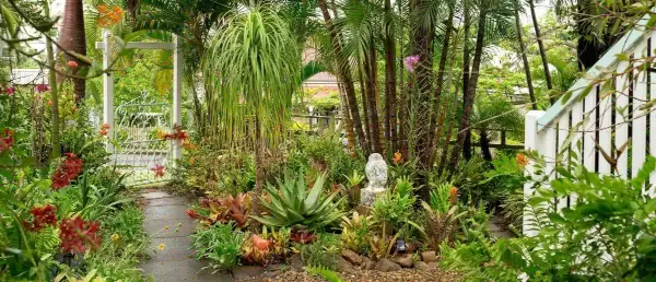 Counselling space in Springwood