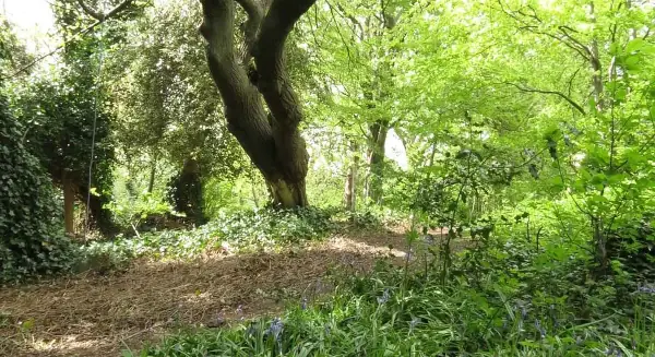 Counselling space in Sunnybank